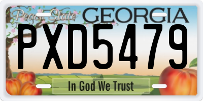 GA license plate PXD5479