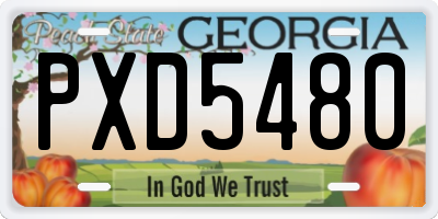 GA license plate PXD5480