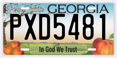 GA license plate PXD5481