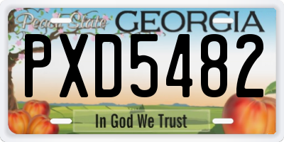 GA license plate PXD5482