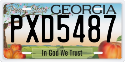 GA license plate PXD5487