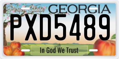 GA license plate PXD5489