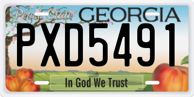 GA license plate PXD5491