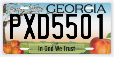 GA license plate PXD5501