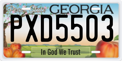 GA license plate PXD5503