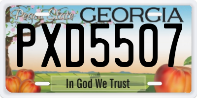 GA license plate PXD5507