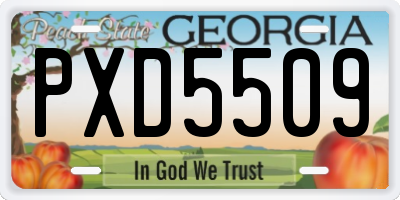GA license plate PXD5509