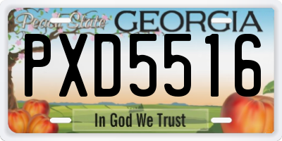 GA license plate PXD5516