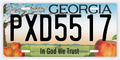 GA license plate PXD5517