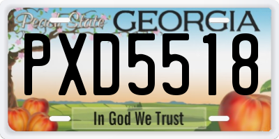 GA license plate PXD5518