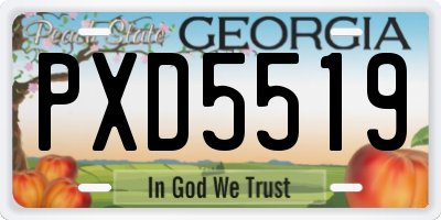 GA license plate PXD5519