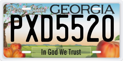 GA license plate PXD5520