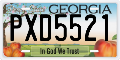 GA license plate PXD5521
