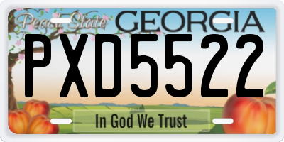 GA license plate PXD5522