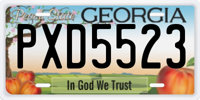 GA license plate PXD5523