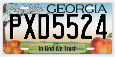 GA license plate PXD5524