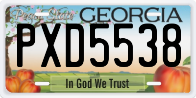 GA license plate PXD5538