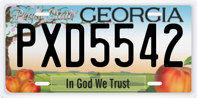 GA license plate PXD5542