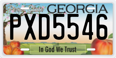 GA license plate PXD5546