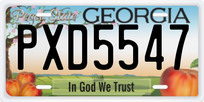 GA license plate PXD5547