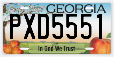 GA license plate PXD5551