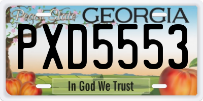 GA license plate PXD5553