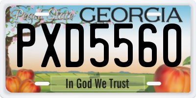 GA license plate PXD5560