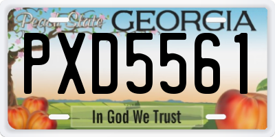 GA license plate PXD5561