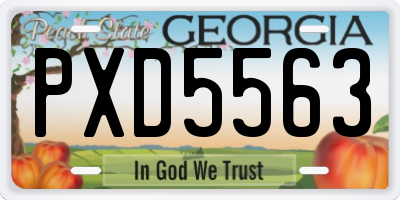 GA license plate PXD5563