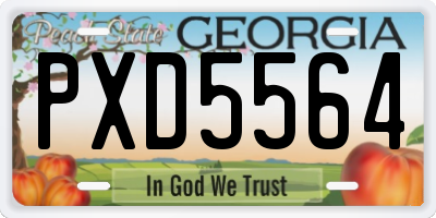 GA license plate PXD5564