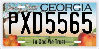 GA license plate PXD5565
