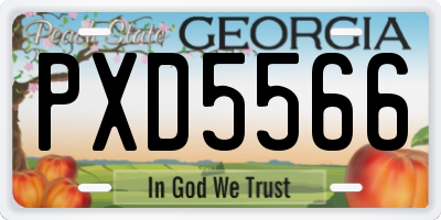 GA license plate PXD5566