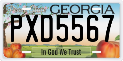 GA license plate PXD5567