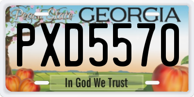GA license plate PXD5570