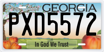 GA license plate PXD5572