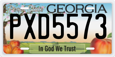 GA license plate PXD5573