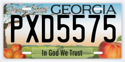 GA license plate PXD5575