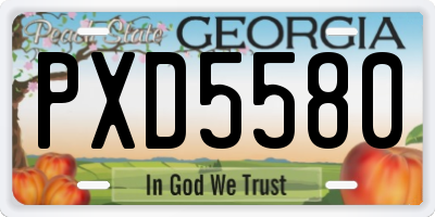 GA license plate PXD5580
