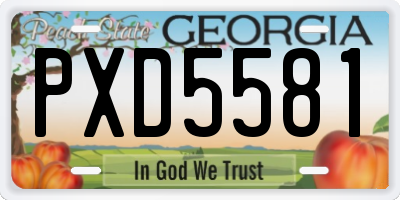 GA license plate PXD5581