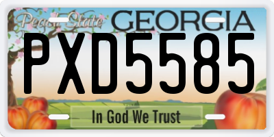 GA license plate PXD5585
