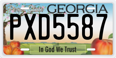 GA license plate PXD5587