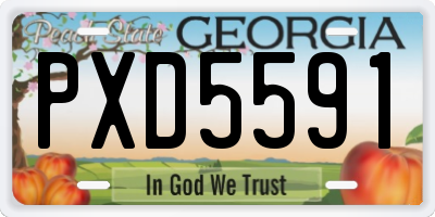 GA license plate PXD5591