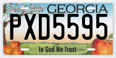 GA license plate PXD5595