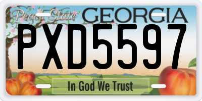 GA license plate PXD5597