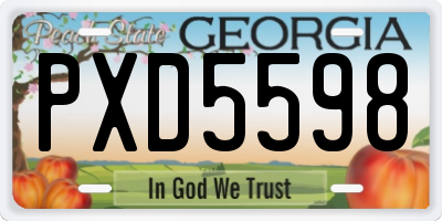 GA license plate PXD5598