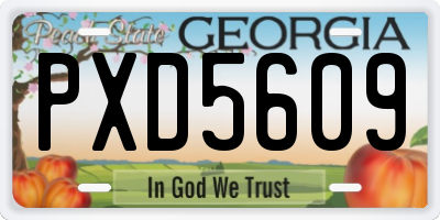 GA license plate PXD5609