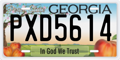 GA license plate PXD5614