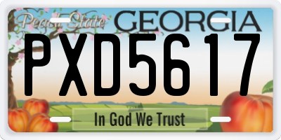GA license plate PXD5617