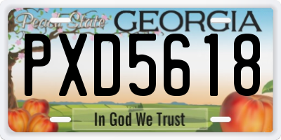 GA license plate PXD5618