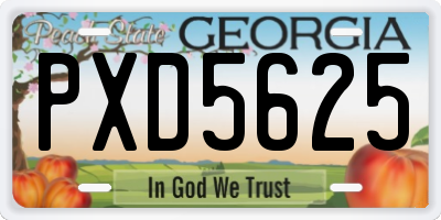 GA license plate PXD5625